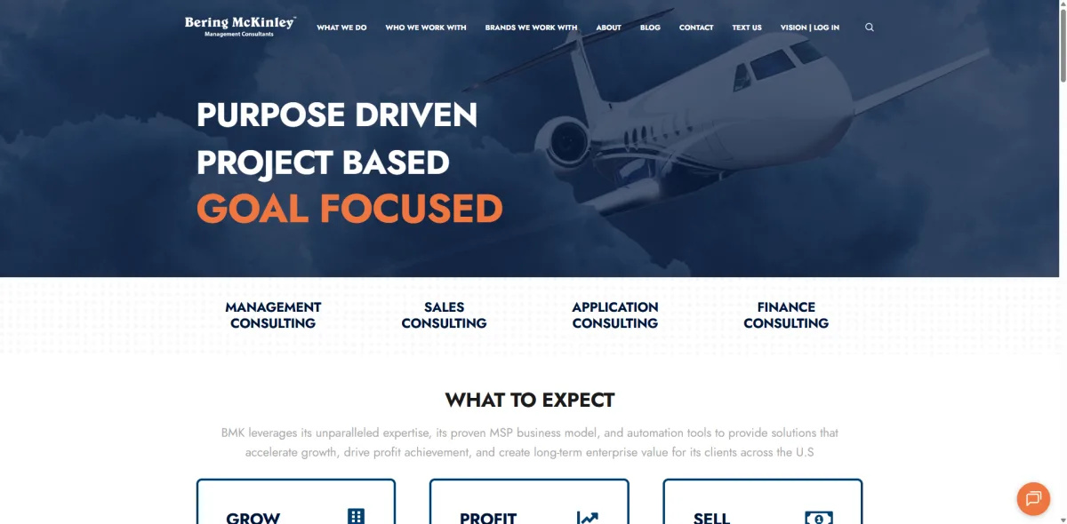 Bering McKinley MSP operations consulting homepage - Lisle, IL