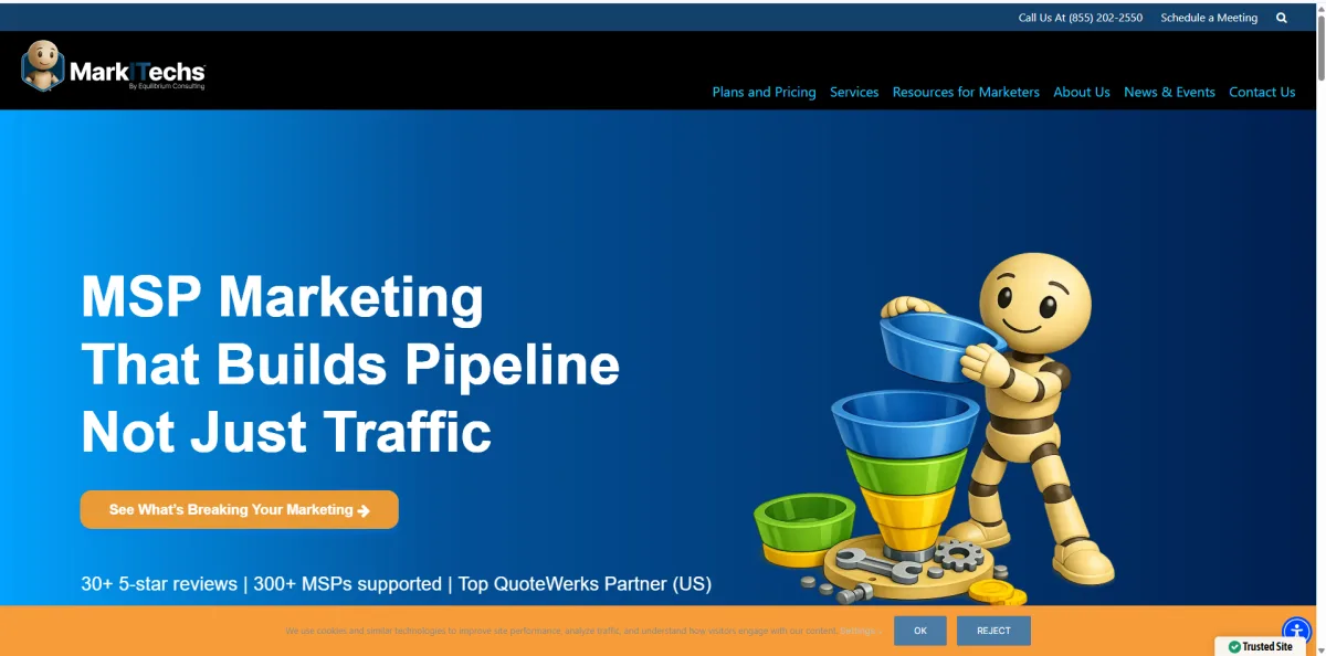 Equilibrium Consulting MSP marketing homepage