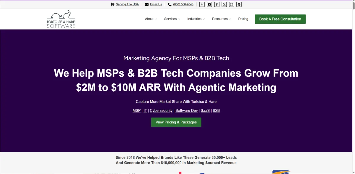 Tortoise and Hare Software MSP SEO and PPC homepage - Jacksonville, FL