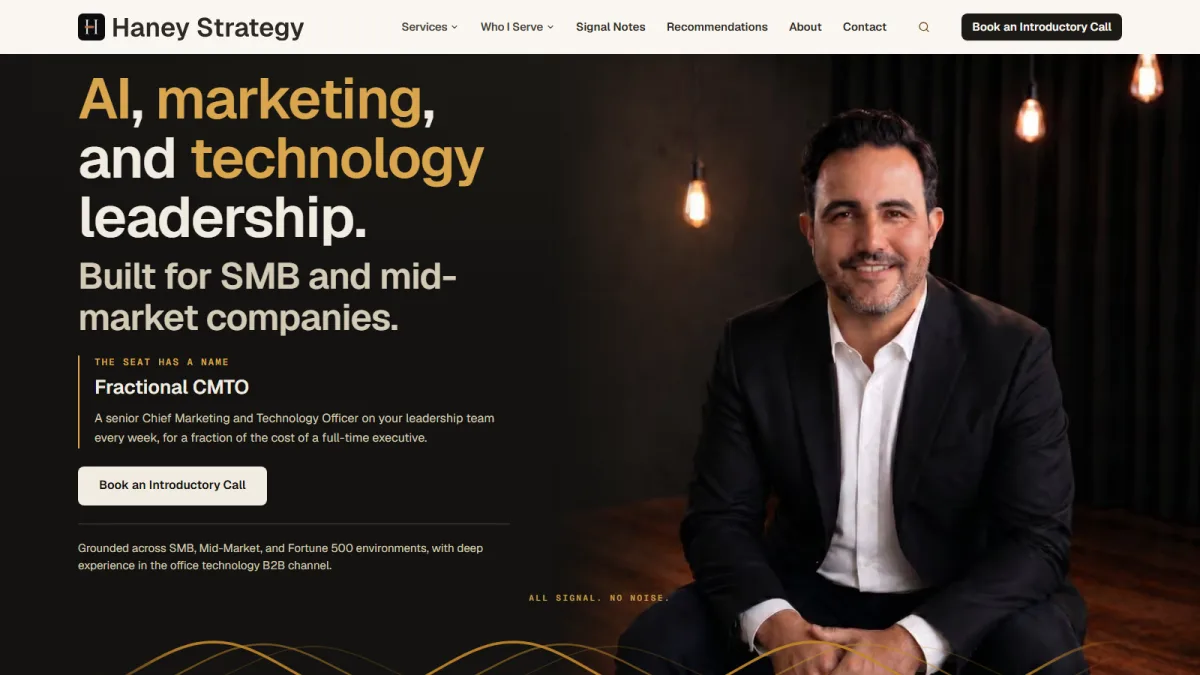 Haney Strategy fractional executive for MSPs homepage