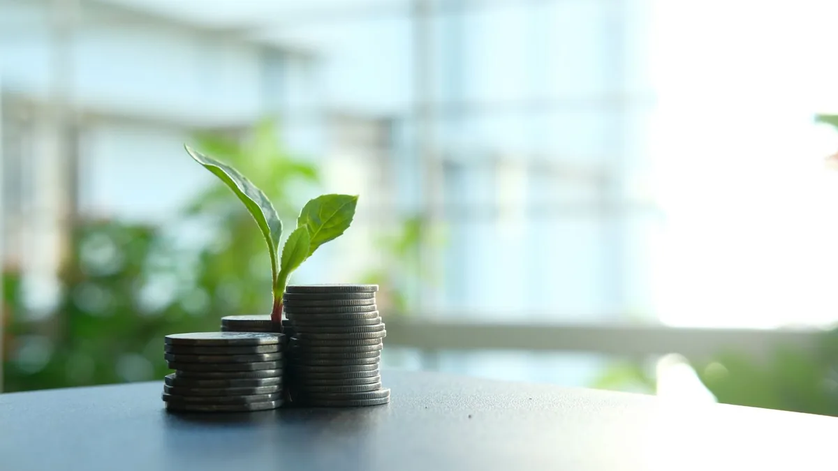 Plant growing from a stack of coins, representing what MSP SEO cost buys over time