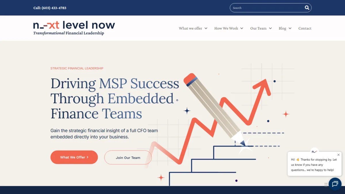Next Level Now fractional CFO homepage