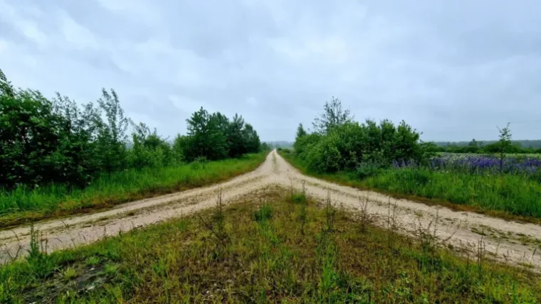 When Does an MSP Need a Fractional CMO vs a Fractional CFO?