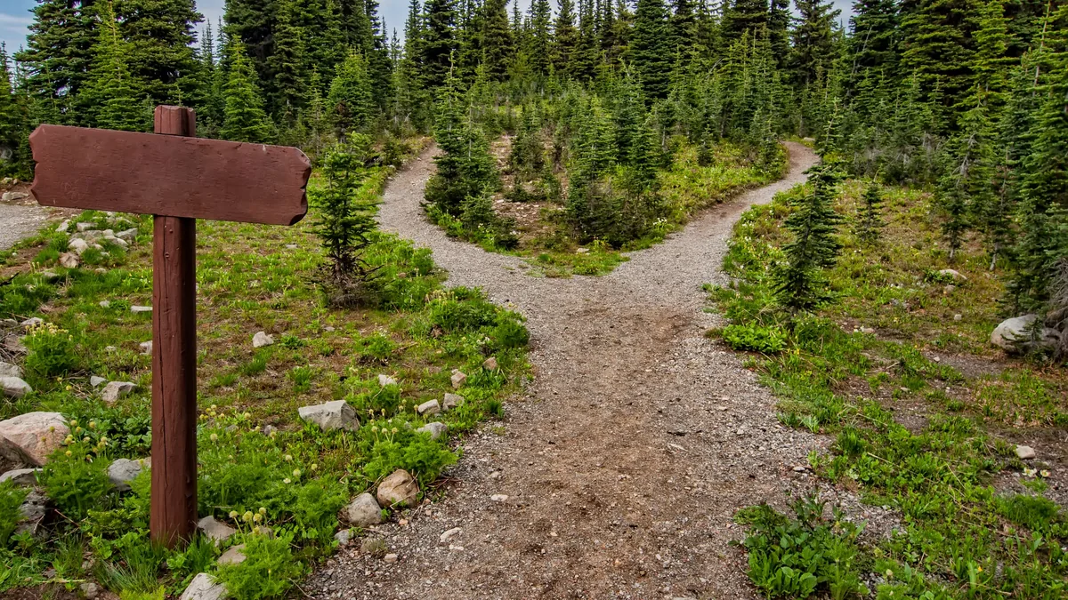 A trail splitting in two beside a wooden signpost, the choice a buyer weighs on an MSP comparison page